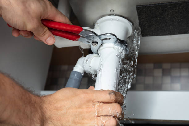 Best Water damage restoration near me  in Springfield, MN