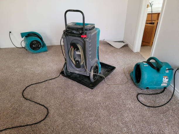 Best Water damage restoration process  in Springfield, MN