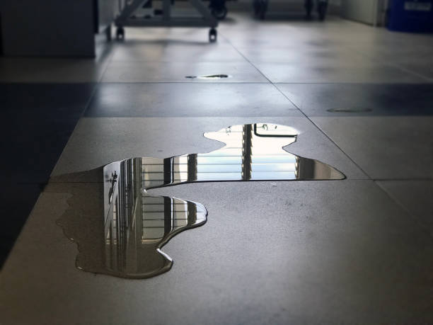 Best Water damage restoration experts  in Springfield, MN
